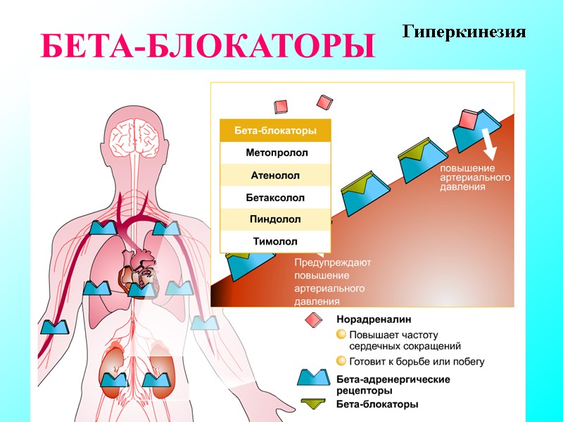 БЕТА-БЛОКАТОРЫ Гиперкинезия БЕТА-БЛОКАТОРЫ Гиперкинезия